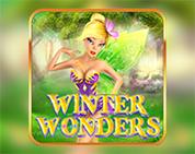 Winter Wonders